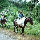 04 Schönweitz Berthold